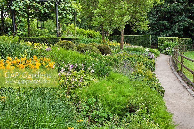 Hemerocallis 'Nugget' with Hostas in Dina Deferme garden Belgium