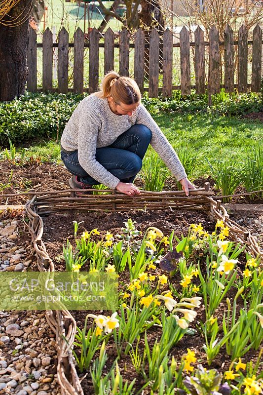 Woman weaving pliable stems around supports to create raised bed edging