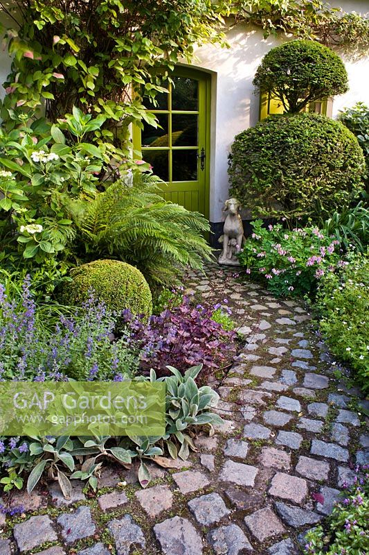 Pathway leading to cottage entrance with mixed borders of perennials and topiary.