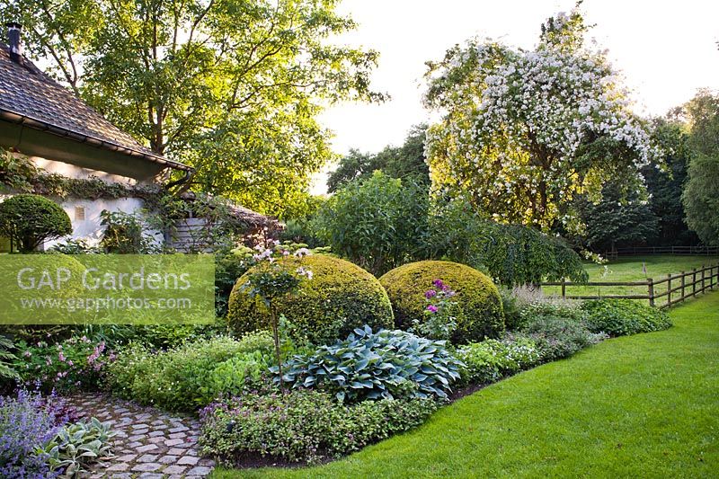 Summer borders of perennials and topiary.