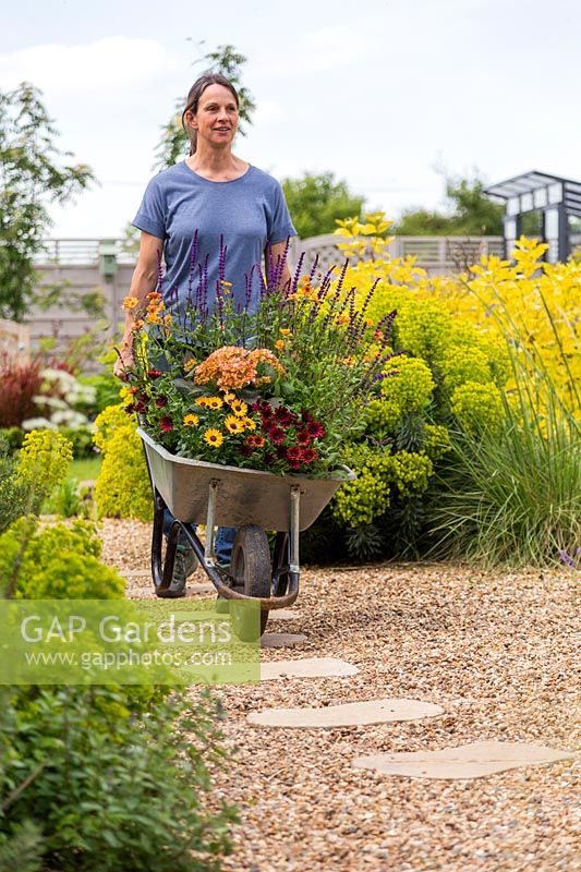 Woman moving wheelbarrow planted with colourful perennials