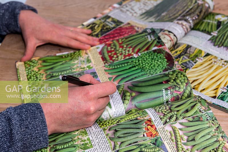 Person ordering vegetable seeds in catalogue. 
