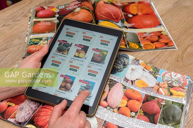 Person ordering vegetable seeds on a digital tablet. 