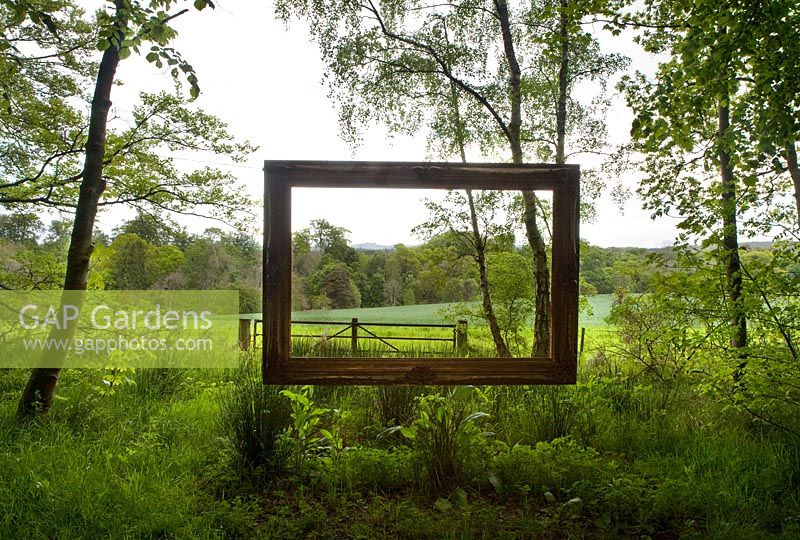 Suspended picture frame in woodland fringe. 