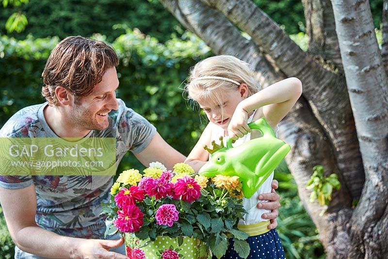 Father and daughter watering dahlias