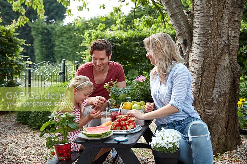 Family enjoying eating strawberries at picnic table in garden