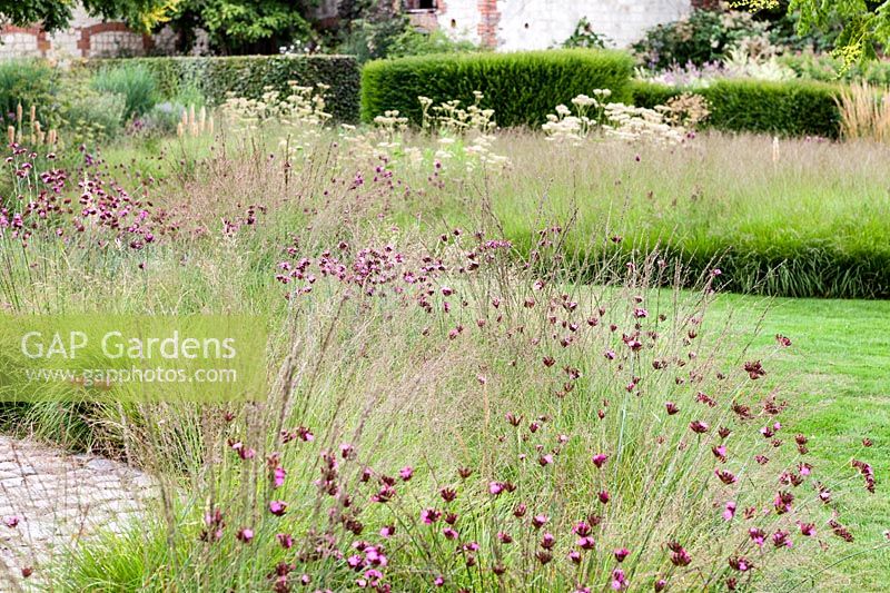 Meadow planting in The Walled Garden, Bury Court Gardens, Hampshire, UK.