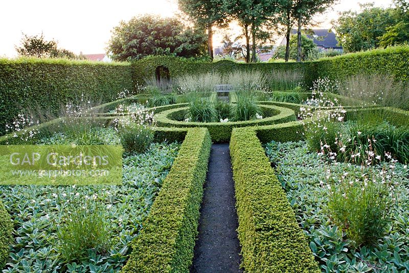 Formal Ilex crenata 'Convexa' hedging in the White garden, Laura Dingemans garden, Netherlands