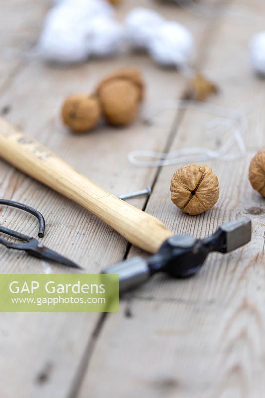 Materials and tools required to make a string of threaded walnuts. 