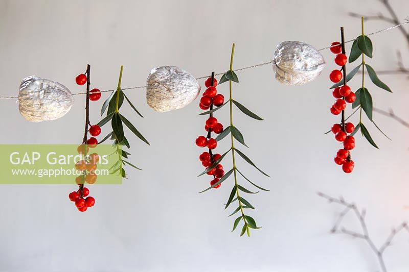 Painted walnuts strung on thread with Ilex berries and Eucalyptus.