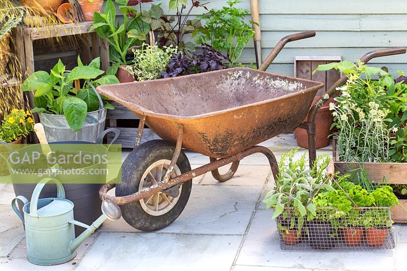 Materials and tools required to construct a wheelbarrow herb planter. 