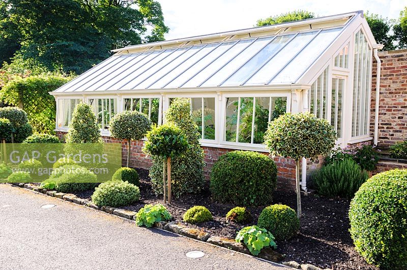 Restored Victorian lean to glass house with clipped evergreens. 