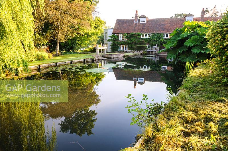 The mill pond is framed by massive weeping willows and large clumps of Gunnera manicata. Dipley Mill, Hartley Wintney, Hants, UK