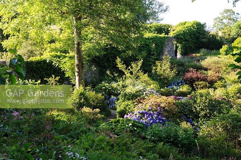 View down over the upper woodland garden. Plas Cadnant Hidden Gardens, Menai Bridge, Anglesey, UK