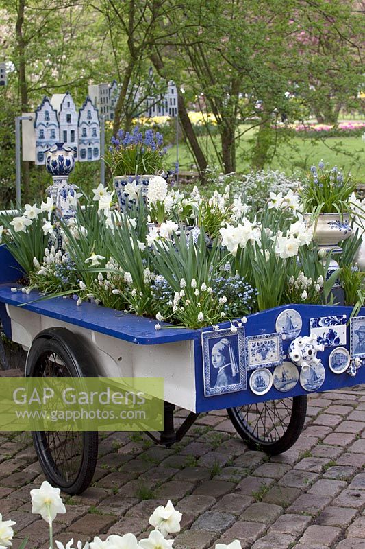 Old Delts blue decorated carriage filled with Muscari and Narcissus. 