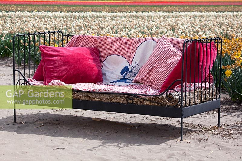 Iron bench in the field for relaxing and enjoying the colours. De Tulperij: Dutch nursery of Daan and Anja Jansze at Voorhout, Holland.
