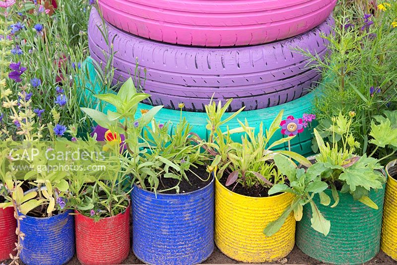Annuals planted in colourful recycled painted tin cans with adjacent painted tyres 