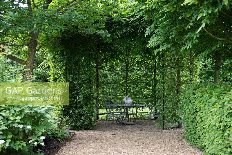 Carpinus betulus - Hornbeam room with table and chairs. Wakelins Willow, Suffolk