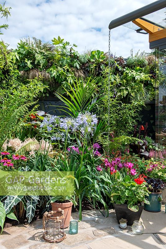 Flowering border in show garden - 'Jungle Fever', RHS Tatton Park Flower Show, 2018. 