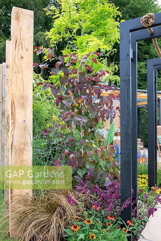 Cercis 'Red Force' underplanted with Salvia 'Love and Wishes' and Carex next to a black charred pergola with rope - Jungle Fever, RHS Tatton Park Flower Show 2018