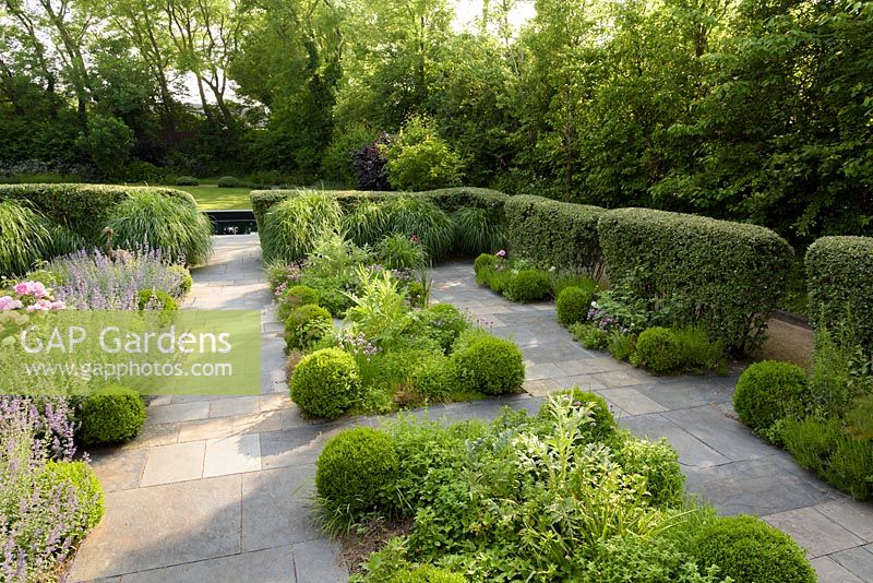 Contemporary herb garden with stone paving, clipped box, catmint, chives, fennel, artichokes, clipped cotoneaster hedges - Barefoot Garden, Cornwall, UK