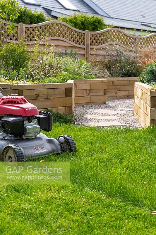 Mowing lawn with petrol mower 