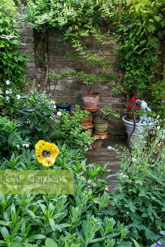 Ornamental flower pick in shady patio area in small urban garden. 