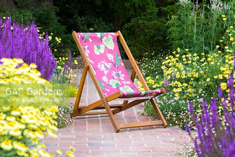 Deck chair with plants perfect for pollination - Anthemis tinctoria 'E.C. Buxton' Dyer's Chamomile AGM and Salvia nemorosa 'Amethyst' Balkan Clary, Erigeron karvinskianus 
