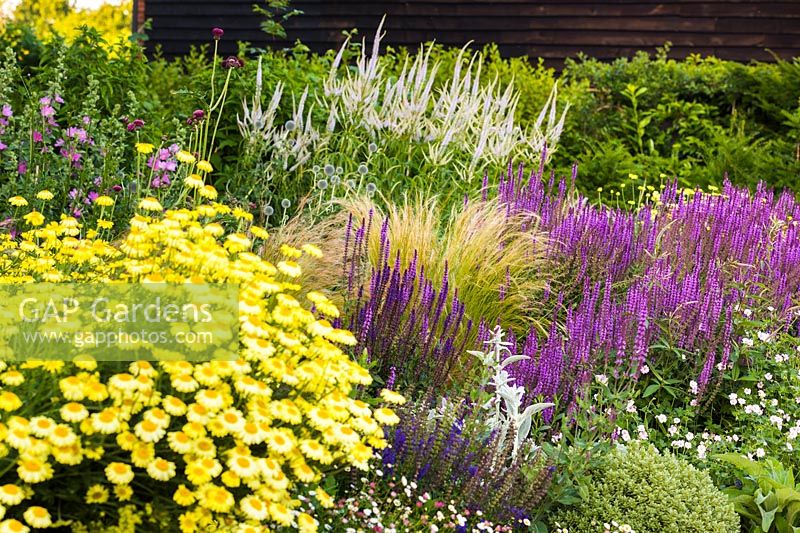 Flower bed with plants perfect for pollination. 