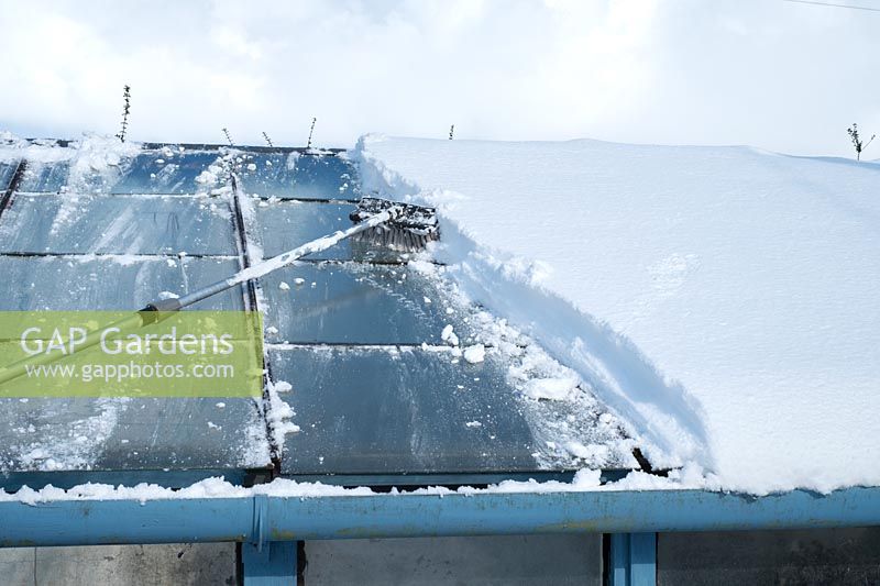 Removing snow from greenhouse roof using a long-handled broom