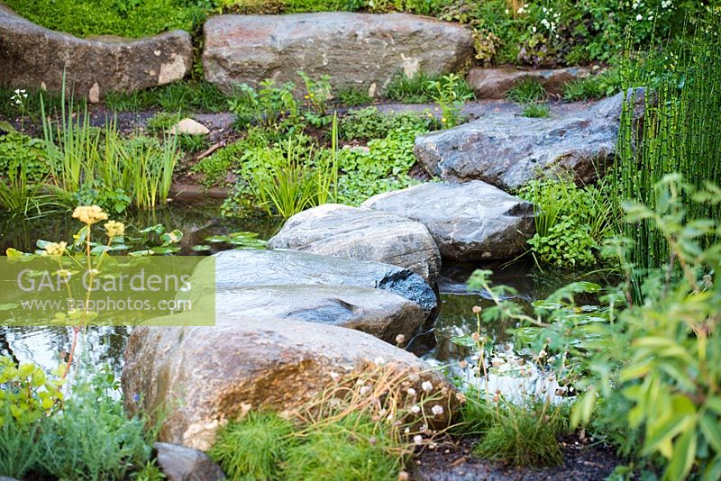 Stepping stones across pond with Equisetum hyemale. Countryfiles 30th Anniversary Garden. RHS Hampton Court Palace, 2018