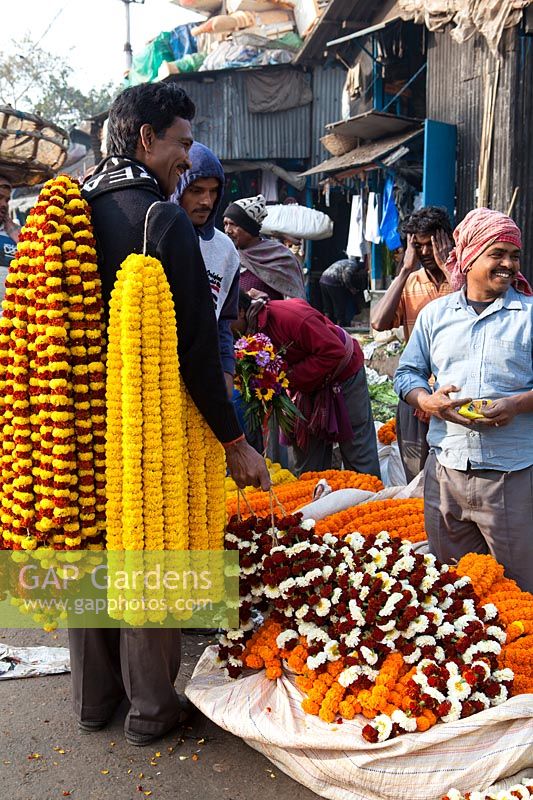 Man standing holding garlands of Tagetes - marigolds at flower market
