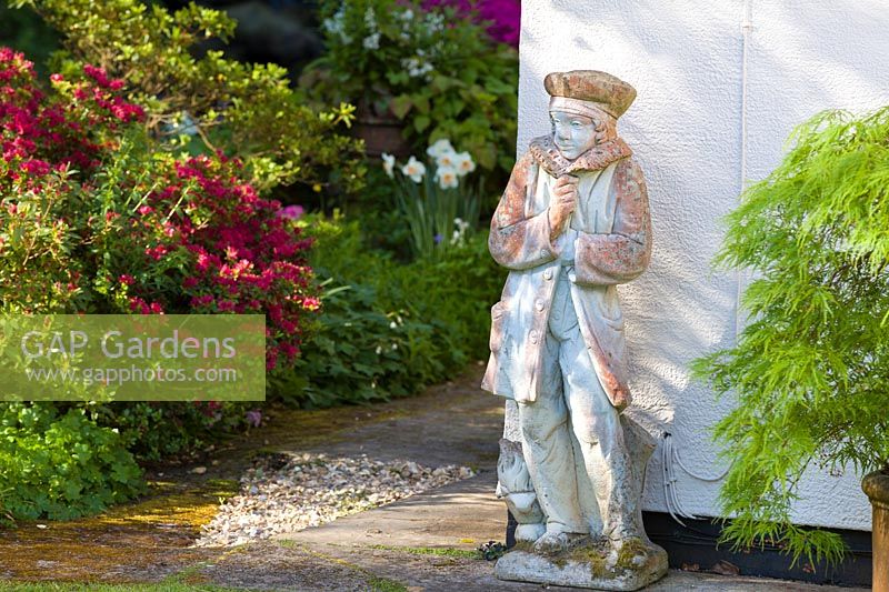 A statue placed next to an Acer against a wall at Ty Hwnt Yr Afon, Conwy, North Wales - photographed in May. Beyond, a border is planted with Azaleas and Narcissi.