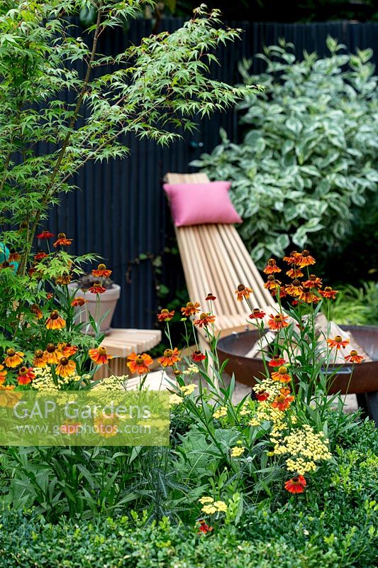 Wooden chair with Helenium 'Moerheim Beauty', Achillea 'Teracotta' and Acer palmatum 'Katsura'
