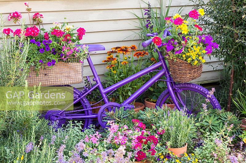 Painted childs bike with baskets of colourful bedding plants