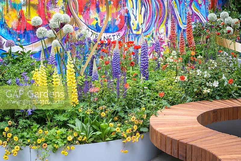 Raised beds with colourful planting. The Supershoes, Laced with Hope Garden, a partnership with Frosts. Sponsor: Frosts Garden Centres, RHS Chelsea Flower Show, 2018.