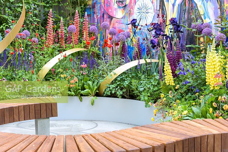 Curved iroko bench surrounded by mixed planting with yellow Lupinus 'Desert Sun' - The Supershoes, Laced With Hope Garden - RHS Chelsea Flower Show, 2018 - Sponsor: Frosts Garden Centres