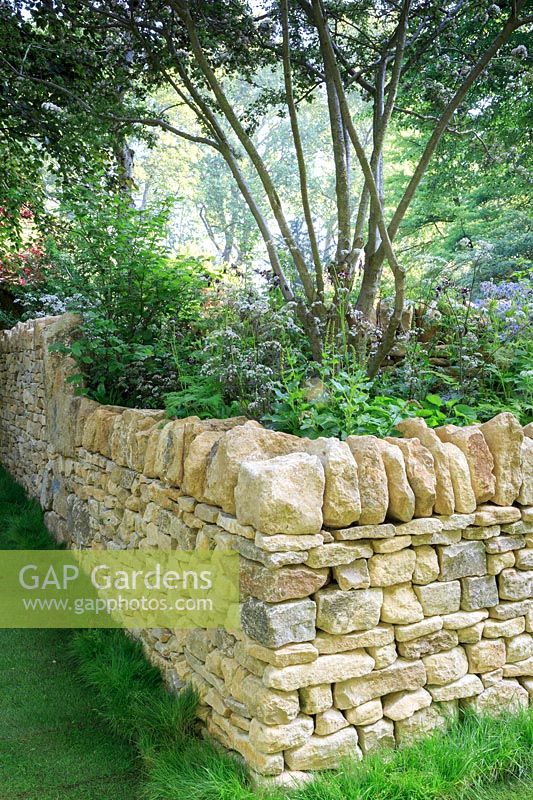 Detail of dry stone wall. The Warner Edwards Garden, a representation of Falls Farm in the Northamptonshire countryside, Sponser: Warner Edwards, RHS Chelsea Flower Show, 2018.
