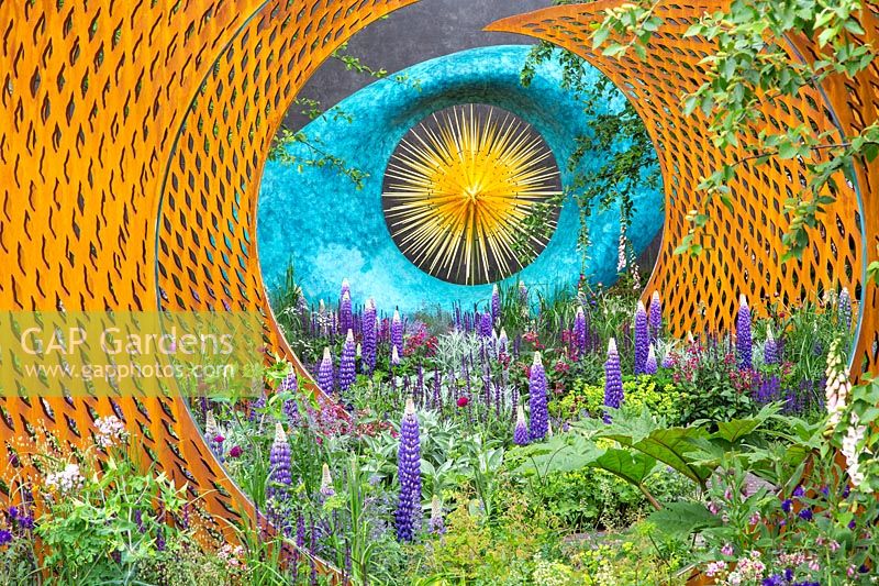 Corten steel screen with Aeon sculpture and Lupinus 'Persian Slipper', The David Harber and Savills garden, RHS Chelsea Flower Show, 2018