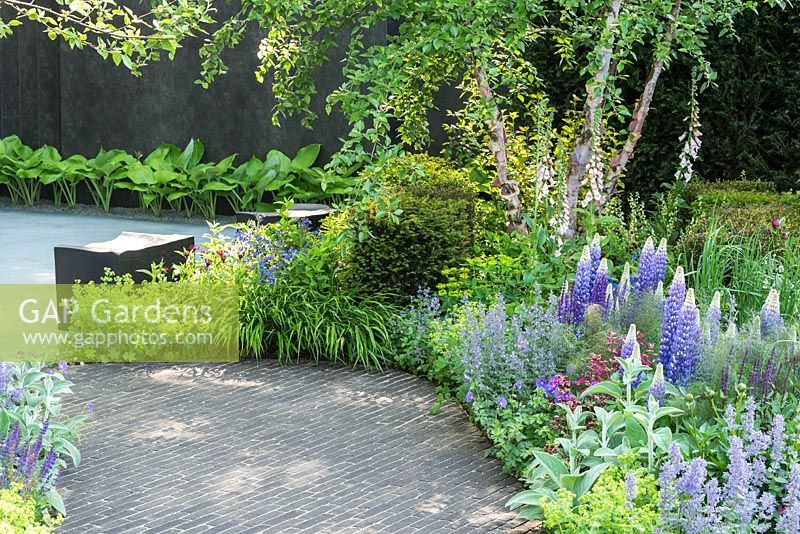 Path with mixed planting, The David Harber and Savills Garden, RHS Chelsea Flower Show, 2018 