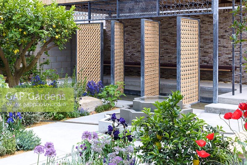 Islamic influence garden with star shaped water feature, rills, metal and wood fretwork screens and lemon tree - The Lemon Tree Trust Garden - Sponsor: Lemon Tree Trust - Chelsea Flower Show 2018