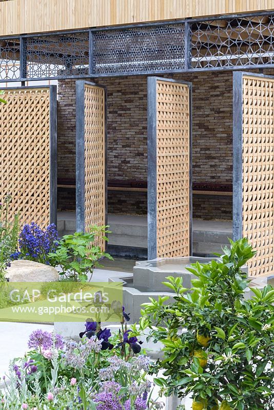 The Lemon Tree Trust Garden, Sponsor: Lemon Tree Trust, RHS Chelsea Flower Show, 2018.