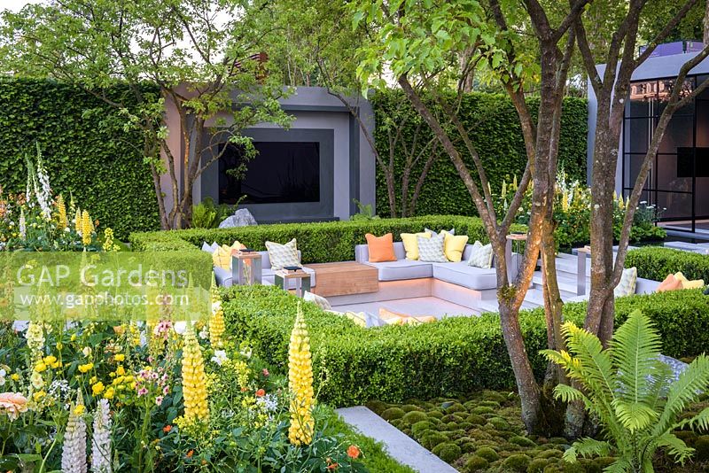 Sunken seating with box hedge and pavillion with multi-stem tree. The LG Eco-City Garden, RHS Chelsea Flower Show, 2018. Sponsor: LG Electronics