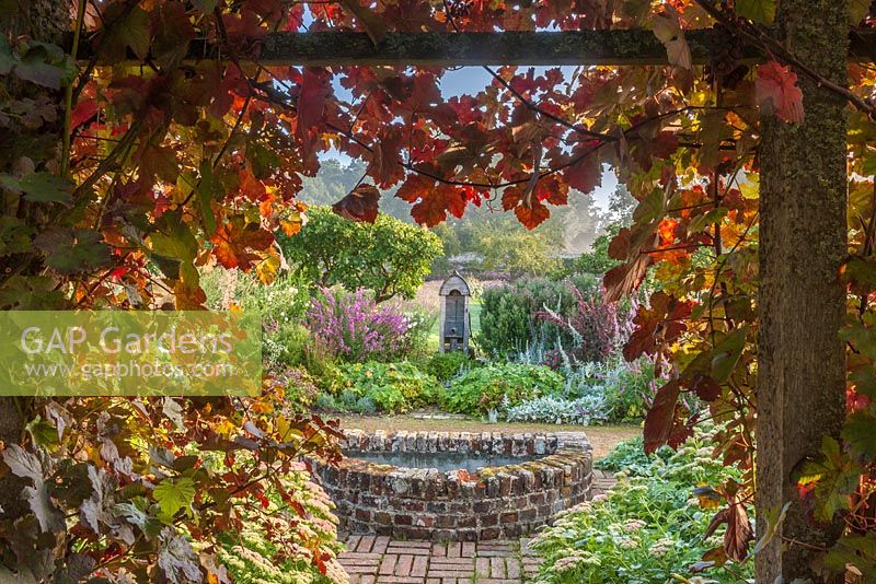 Vitis vinifera 'purpurea' - grape vine - grows over wooden archway, with view to garden beyond. Parham Gardens, Sussex. 