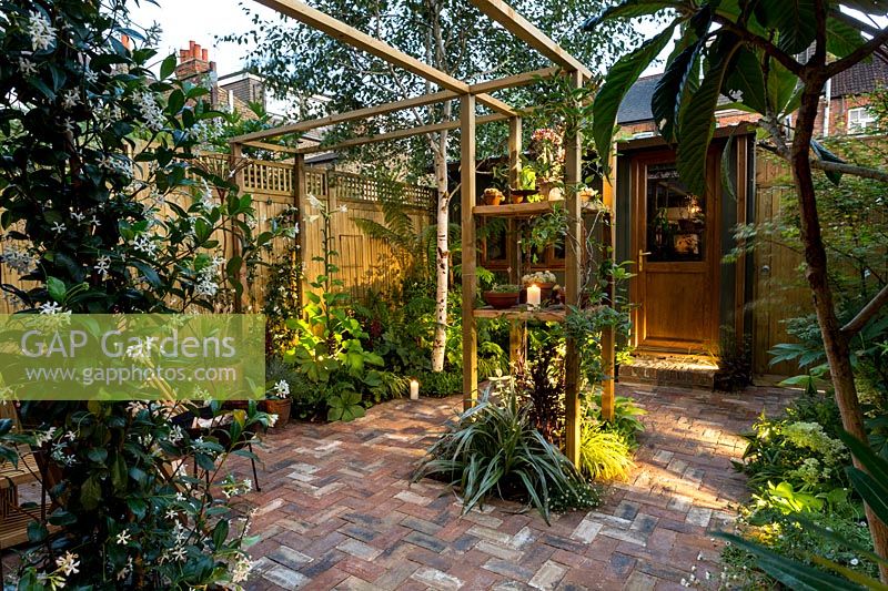 Small London patio garden with central pergola and spotlights. 