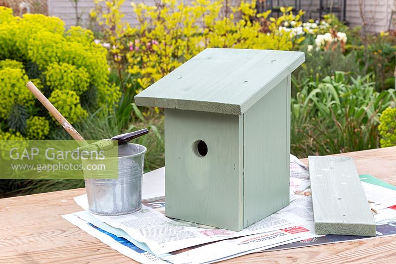 Birdbox painted pale green, drying prior to hanging. 