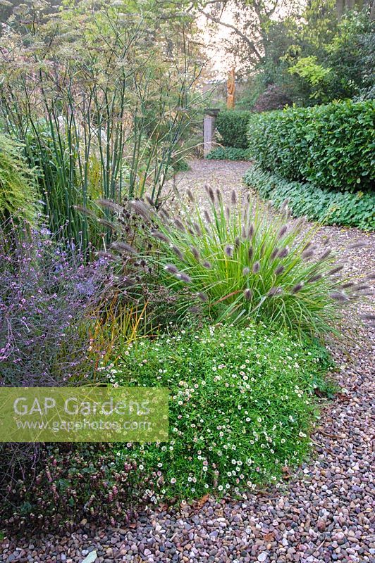 Gravel garden alongside the drive features mixed planting of grasses, herbaceous perennials and shrubs - Shropshire, UK