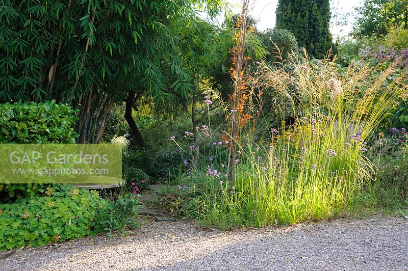 Gravel garden on the drive with grasses and Verbena bonariensis - Shropshire, UK