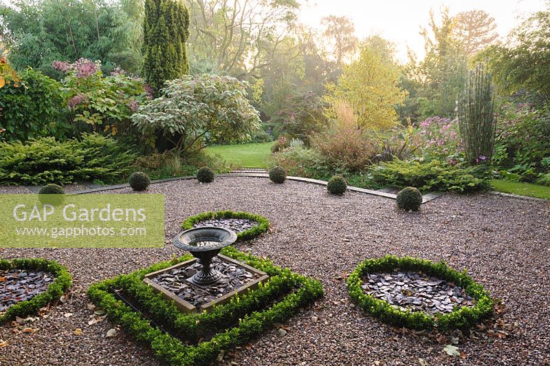 Yew balls and a knot garden of Ilex crenata - Shropshire, UK