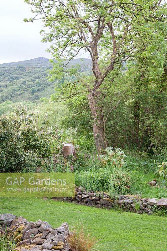 Garden at Dyffryn Fernant, UK